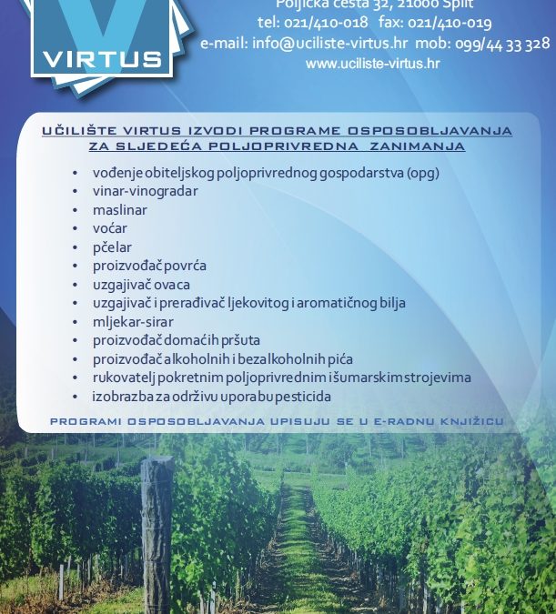 Programi učilišta VIRTUS