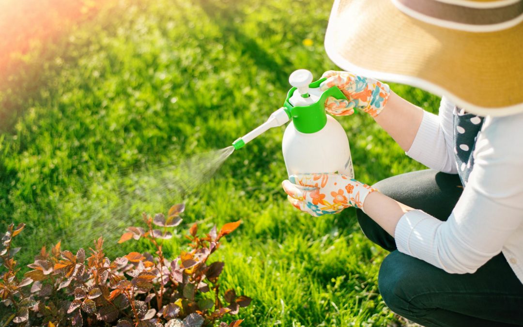 Osnovna i dopunska izobrazba o sigurnom rukovanju i primjeni pesticida